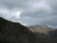 cantara gurne23122011 106